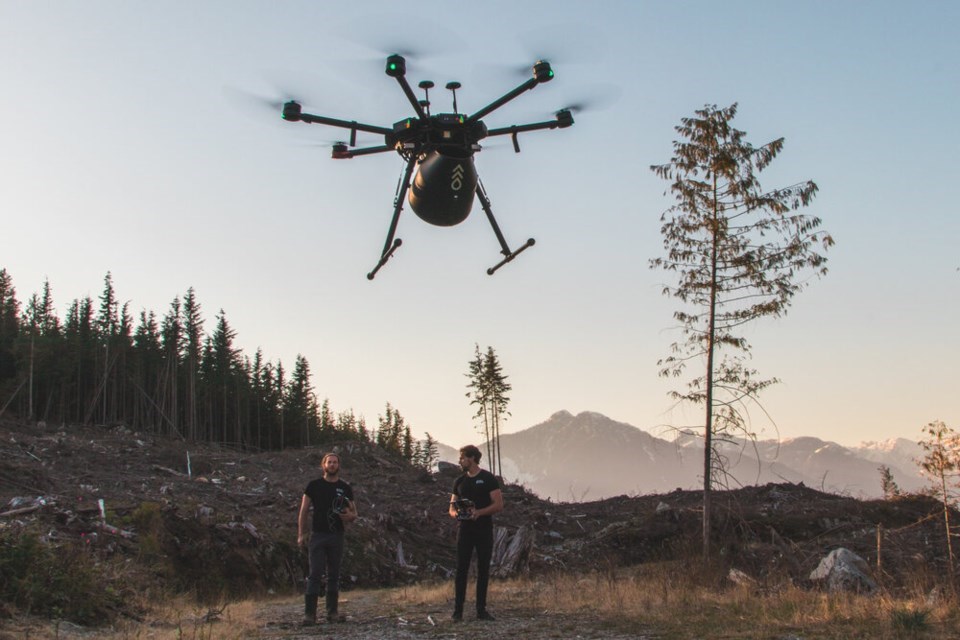 Flash Forest founder Bryce Jones flies a tree-planting drone in British Columbia. Each drone fires off five seed pods per second | Flash Forest