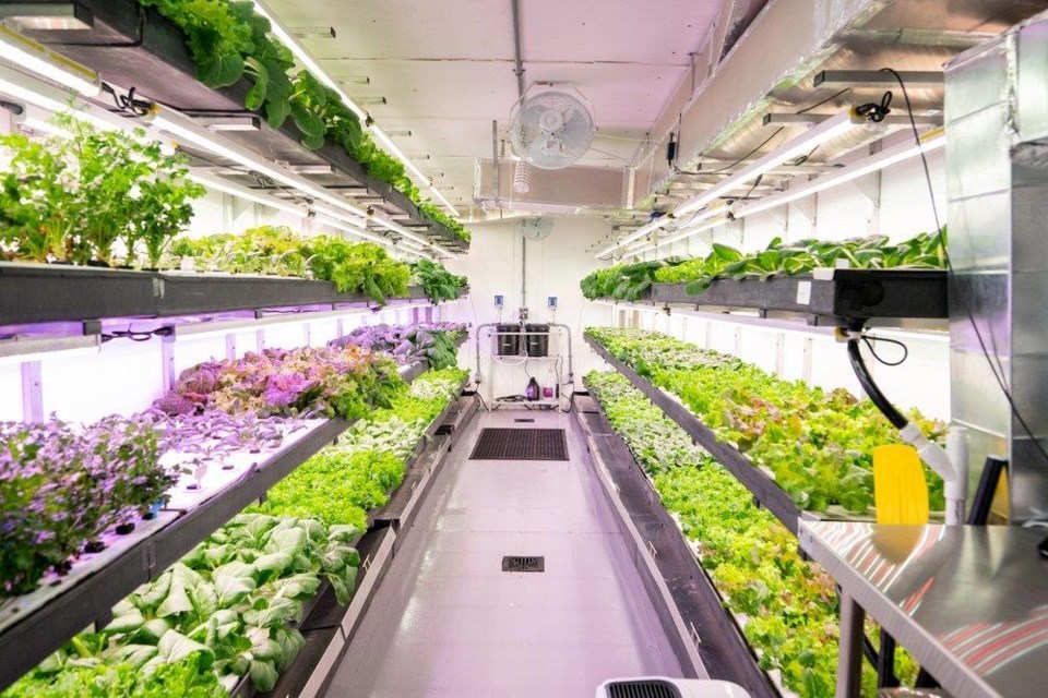 Interior of modular farm: fresh produce year-round in Saskatchewan |Legacy Co-op - 