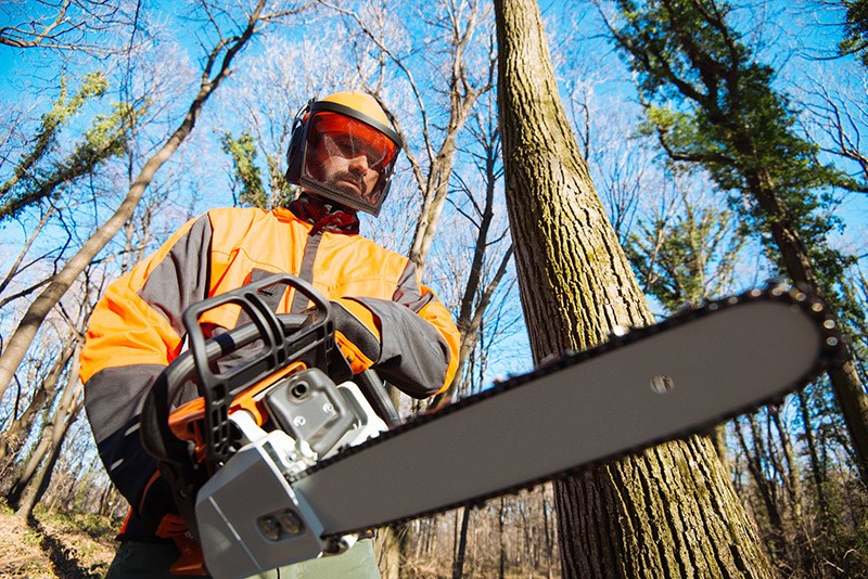 Lumberjack-in-protective-uniform-with-chainsaw-in-forest-cutting-trees-639485744_2122x1416