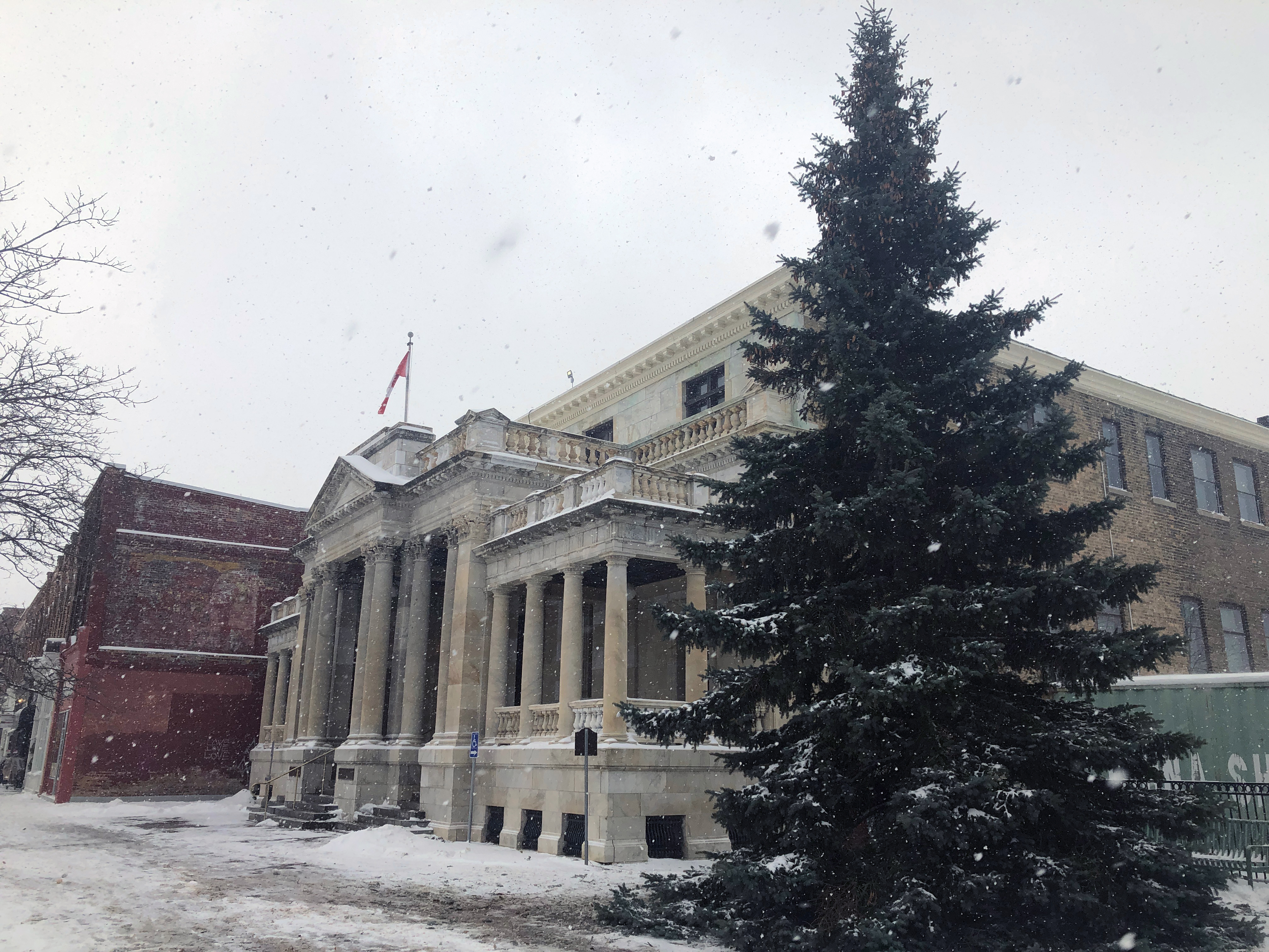 Introducing Collingwood's 2019 Christmas tree - CollingwoodToday