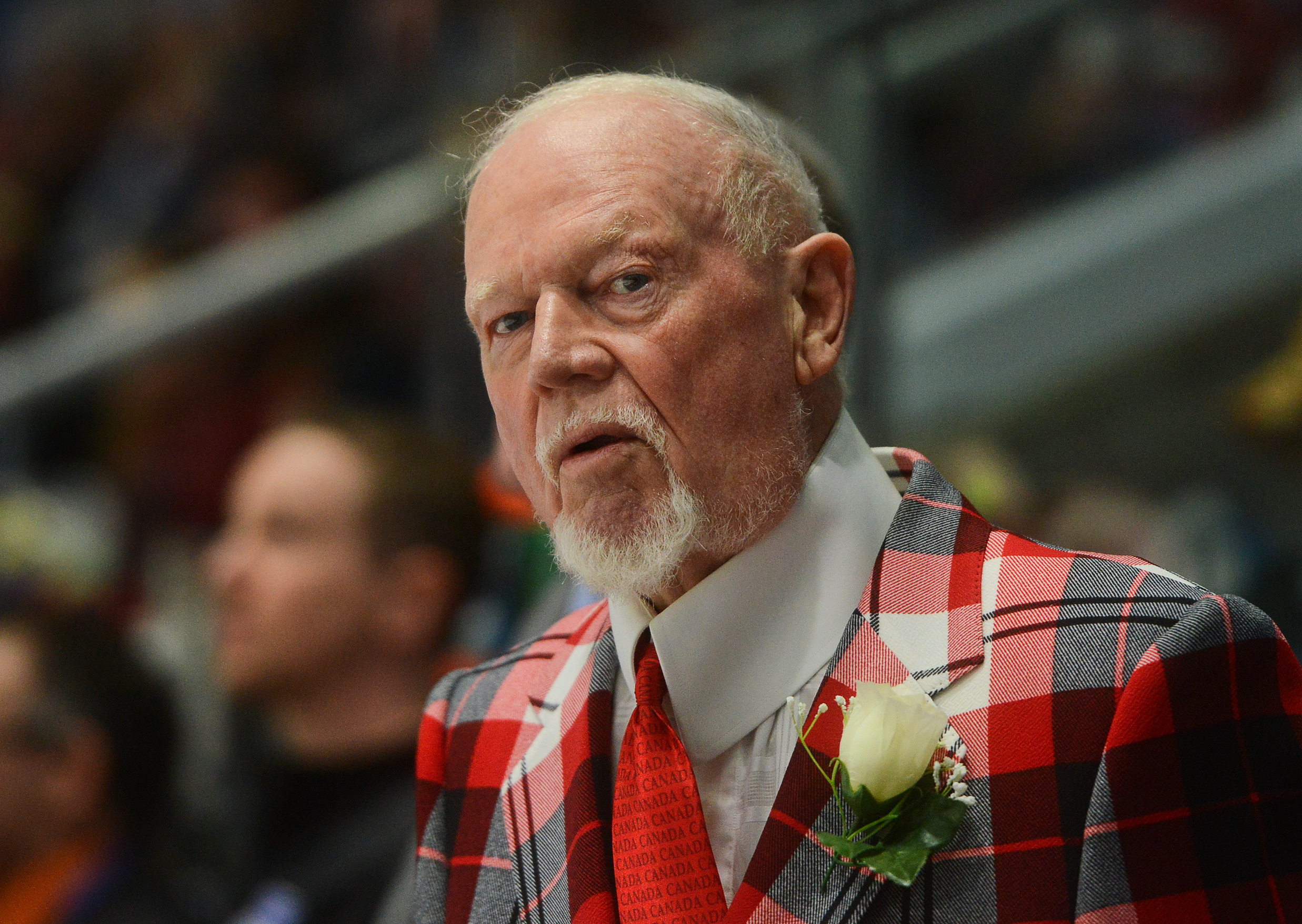 Don Cherry fired following 'you people' comments