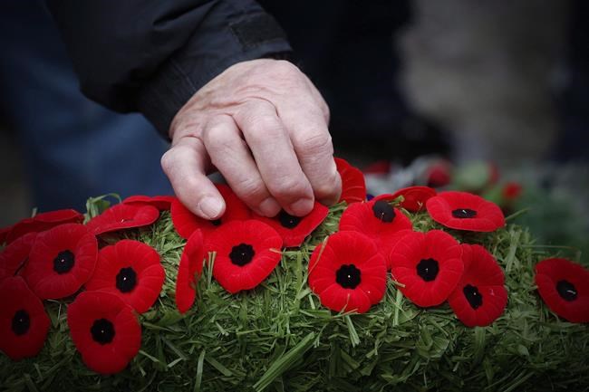 With silence and salutes, Canadians mark Remembrance Day