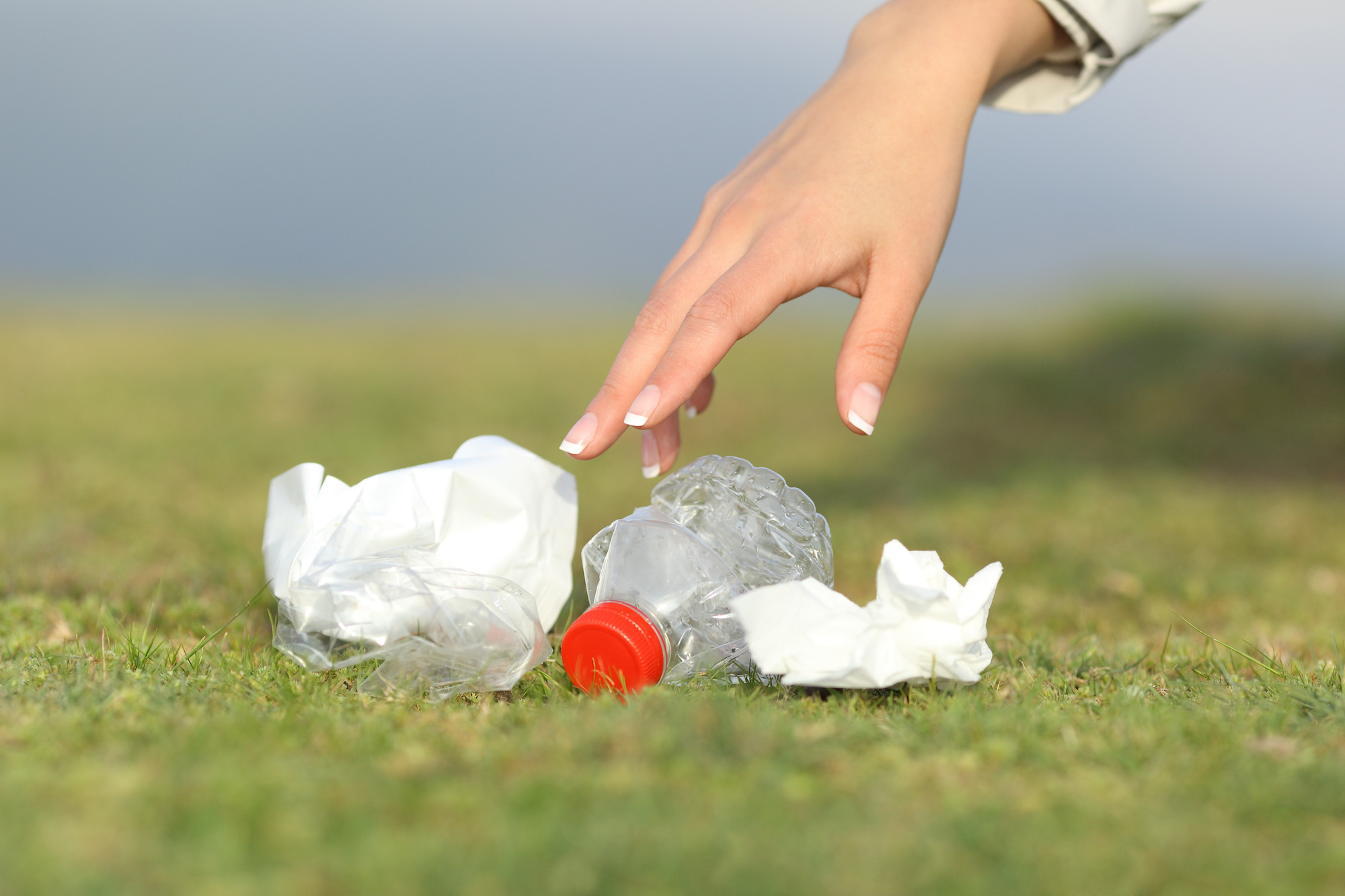 Ontario commits to local MPP's 'Day of Action on Litter' bill - CollingwoodToday