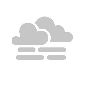 Fog/low stratus clouds