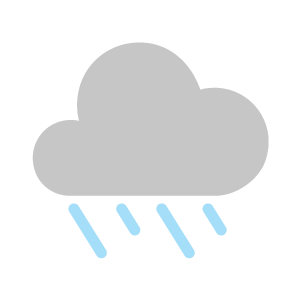 Overcast with rain