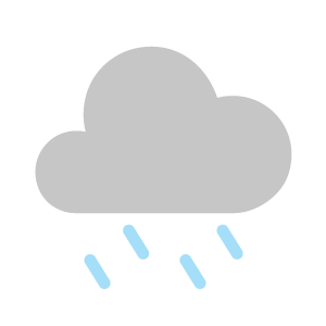 Overcast with light rain