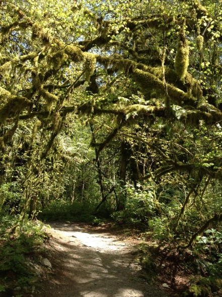 Buntzen Lake trail entrance