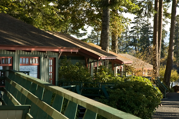 cottages nestled in trees