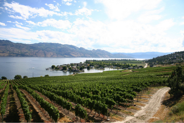 Tourism Kelowna - Quail's Gate